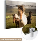 MuchoWow® Glasschilderij 180x120 cm - Schilderij acrylglas - Paarden - Dieren - Gras - Foto op glas - Schilderijen