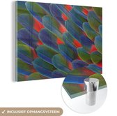MuchoWow® Glasschilderij 30x20 cm - Schilderij acrylglas - Detail veren papegaai - Foto op glas - Schilderijen