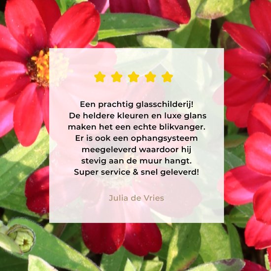 MuchoWow® Glasschilderij 60x120 cm - Schilderij acrylglas - Rode zinnia bloemen tijdens een zonnige dag - Foto op glas - Schilderijen