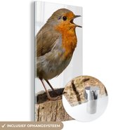 MuchoWow® Glasschilderij 60x120 cm - Schilderij acrylglas - Roodborstje - Vogel - Hout - Foto op glas - Schilderijen