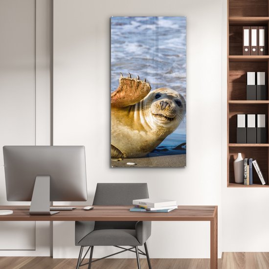MuchoWow® Peinture sur Verre - Sceau - Drôle - Ondulation - 60x120 cm - Peintures sur Verre Peintures - Photo sur Glas