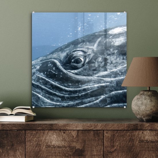 MuchoWow® Glasschilderij 50x50 cm - Schilderij acrylglas - Water - Dieren - Bultrug - Foto op glas - Schilderijen