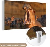 MuchoWow® Glasschilderij 160x80 cm - Schilderij acrylglas - Nijlpaarden - Water - Foto op glas - Schilderijen