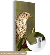 MuchoWow® Peinture sur verre - Vogel sur une branche - 80x160 cm - Peintures sur verre acrylique - Photo sur Glas
