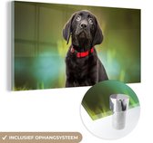 MuchoWow® Glasschilderij 160x80 cm - Schilderij acrylglas - Een zwarte Labrador Retriever die omhoog kijkt - Foto op glas - Schilderijen