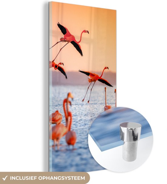 MuchoWow - Glasschilderij - Foto op glas - Vogel - Flamingo - Zonsondergang - Water - Tropisch - 20x40 cm - Acrylglas - Kamerdecoratie - Glasschilderij vogels - Muurdecoratie
