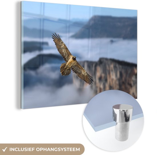 MuchoWow® Glasschilderij 150x100 cm - Schilderij acrylglas - Lammergier vliegt over een berglandschap - Foto op glas - Schilderijen
