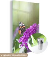 MuchoWow® Glasschilderij 20x30 cm - Schilderij acrylglas - Admiraalvlinder op een paarse vlinderstruik - Foto op glas - Schilderijen