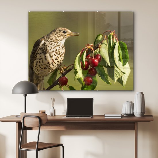 MuchoWow® Peinture sur verre - Vogel sur une branche - 120x90 cm - Peintures sur verre acrylique - Photo sur Glas