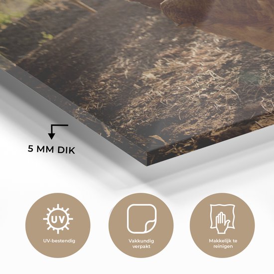 Peinture sur Verre - Deux Poulets en Course - 120x80 cm - Peintures sur Verre Peintures - Photo sur Glas