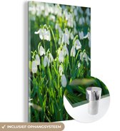 MuchoWow® Glasschilderij 100x150 cm - Schilderij acrylglas - Veld van sneeuwklokjes - Foto op glas - Schilderijen
