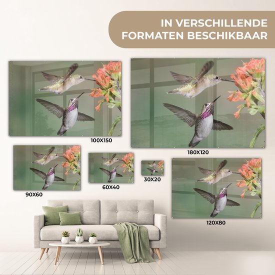 MuchoWow® Glasschilderij 150x100 cm - Schilderij acrylglas - Kolibrie - Vogels - Bloem - Foto op glas - Schilderijen