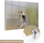 MuchoWow® Glasschilderij 150x100 cm - Schilderij acrylglas - Grijskopijsvogel klimt naar de top van een tak - Foto op glas - Schilderijen