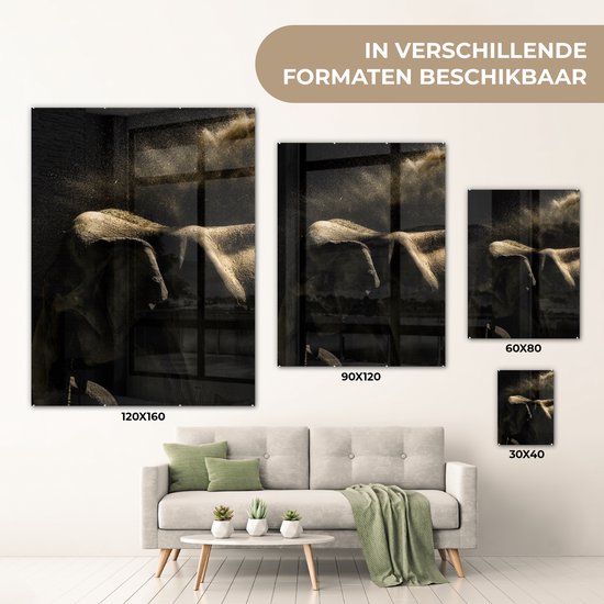 MuchoWow® Peinture sur verre 30x40 cm - Peinture sur verre acrylique - Éléphant - Boue - Animaux - Zwart - Photo sur verre - Peintures