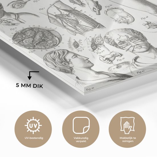 MuchoWow® Glasschilderij 120x90 cm - Schilderij acrylglas - Illustraties van verschillende chirurgische ingrepen - Foto op glas - Schilderijen