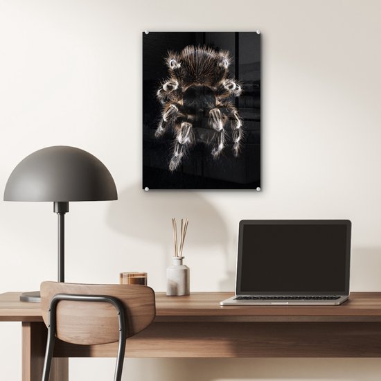 MuchoWow® Peinture sur verre 30x40 cm - Peinture acrylique sur verre - Une tarentule - Photo sur verre - Peintures
