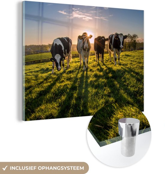 Coucher de soleil derrière quatre vaches frisonnes Plexiglas 160x120 cm - Tirage photo sur Glas (décoration murale plexiglas) XXL / Groot format!