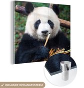 MuchoWow® Glasschilderij 90x90 cm - Schilderij acrylglas - Panda - Bamboe - Natuur - Foto op glas - Schilderijen