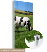 MuchoWow® Glasschilderij 60x120 cm - Schilderij acrylglas - Koe - Dieren - Gras - Foto op glas - Schilderijen