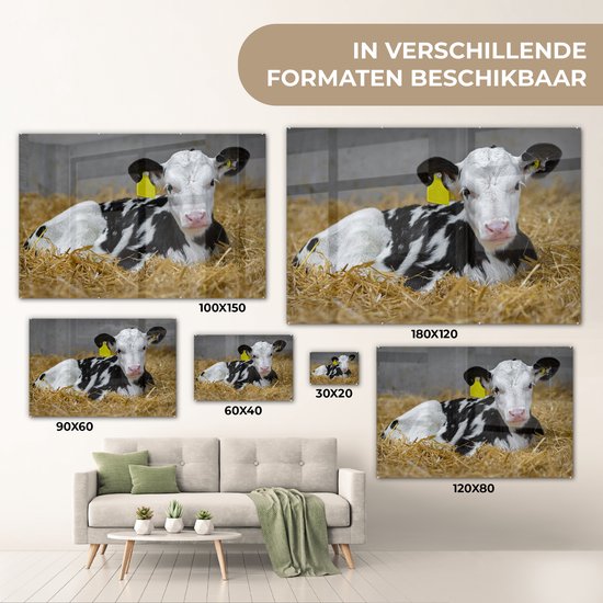 MuchoWow® Glasschilderij 120x80 cm - Schilderij acrylglas - Koe - Stro - Kalf - Dier - Foto op glas - Schilderijen