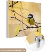 MuchoWow - Glasschilderij - Vogel - Koolmees - Geel - Takken - Blad - Acrylglas - Foto op glas - 50x50 cm - Glasschilderij vogels - Wanddecoratie - Glasschilderij natuur