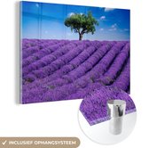 MuchoWow® Glasschilderij 60x40 cm - Schilderij acrylglas - Een close-up van een lavendelveld - Foto op glas - Schilderijen
