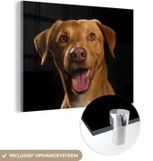 MuchoWow® Glasschilderij 80x60 cm - Schilderij acrylglas - Hond - Huisdieren - Portret - Foto op glas - Schilderijen