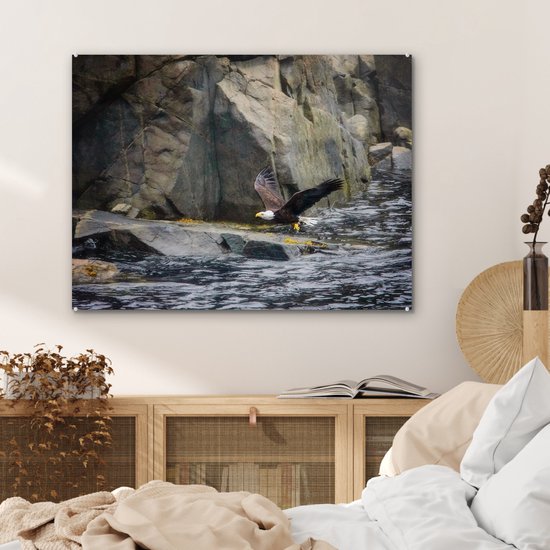 MuchoWow® Peinture sur verre 80x60 cm - Peinture sur verre acrylique - Pygargue à queue blanche près des rochers du Cap Breton - Photo sur verre - Peintures