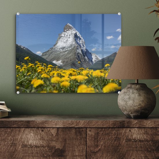 Le Cervin en Suisse au-dessus d'une prairie de pissenlit Plexiglas 40x30 cm - petit - Tirage photo sur verre (décoration murale en plexiglas)