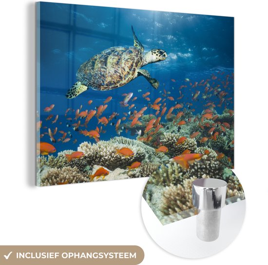 MuchoWow® Glasschilderij 30x20 cm - Schilderij acrylglas - Koraalrif met schildpad - Foto op glas - Schilderijen
