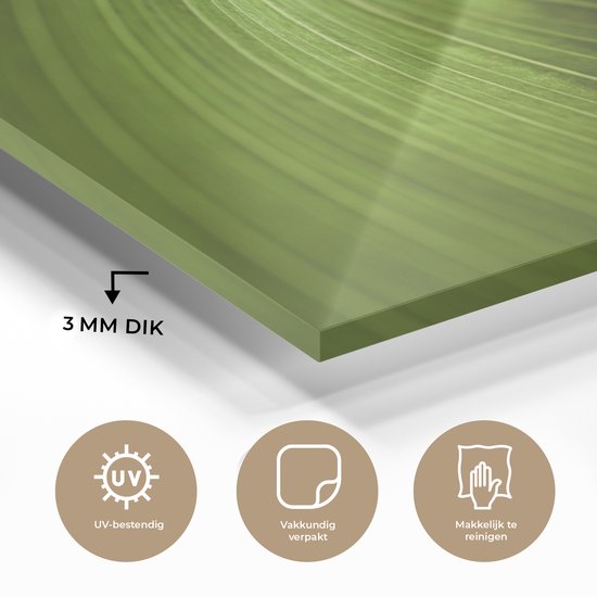 MuchoWow® Peinture sur verre 30x20 cm - Peinture sur verre acrylique - Feuille roulée - Photo sur verre - Peintures