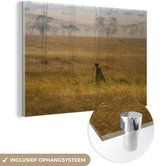 MuchoWow® Glasschilderij 60x40 cm - Schilderij acrylglas - Jachtluipaard op de savanne - Foto op glas - Schilderijen