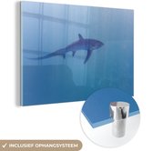 MuchoWow® Glasschilderij 60x40 cm - Schilderij acrylglas - Alopias haai - Foto op glas - Schilderijen