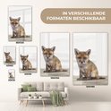 Product afbeelding  9