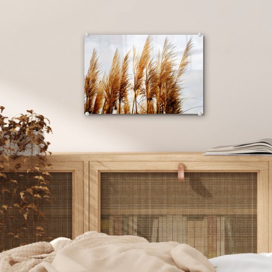 MuchoWow® Peinture sur verre 30x20 cm - Peinture acrylique sur verre - Herbe de la pampa - Soleil - Herbe - Photo sur verre - Peintures