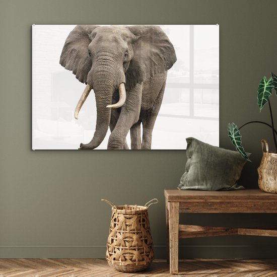 MuchoWow® Peinture sur Verre - Éléphant - Enfants - Garçons - Animaux - Filles - 90x60 cm - Peintures sur Verre Acrylique - Photo sur Glas