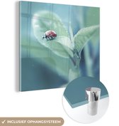 MuchoWow® Glasschilderij 20x20 cm - Schilderij acrylglas - Lieveheersbeestje op een blad - Foto op glas - Schilderijen