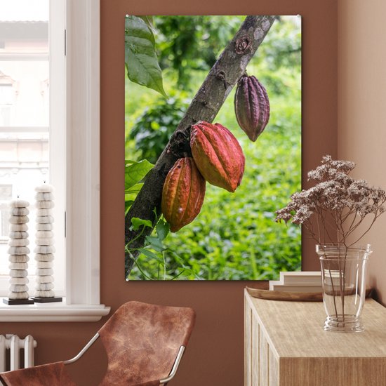 La jungle avec la fève de cacao dans les cabosses Plexiglas 60x90 cm - Tirage photo sur Glas (décoration murale plexiglas)