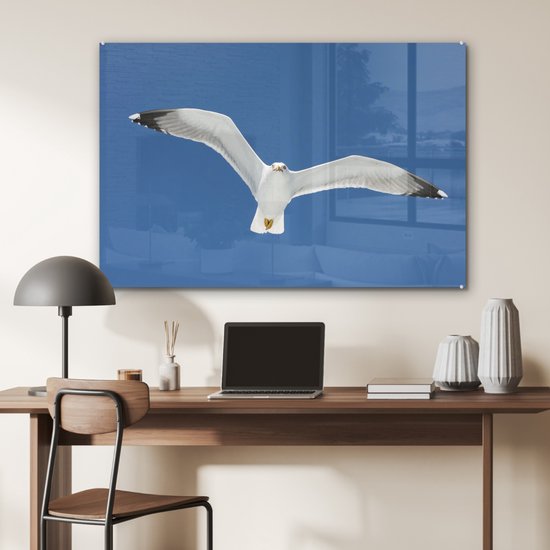 Une photo d'un goéland argenté aux ailes déployées Plexiglas 90x60 cm - Tirage photo sur Glas (décoration murale en plexiglas)