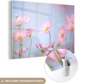 MuchoWow® Glasschilderij 180x120 cm - Schilderij acrylglas - Bloemen - Roze - Buiten - Natuur - Foto op glas - Schilderijen