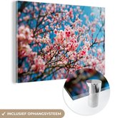 MuchoWow® Glasschilderij 180x120 cm - Schilderij acrylglas - Lente - Sakura - Roze - Foto op glas - Schilderijen