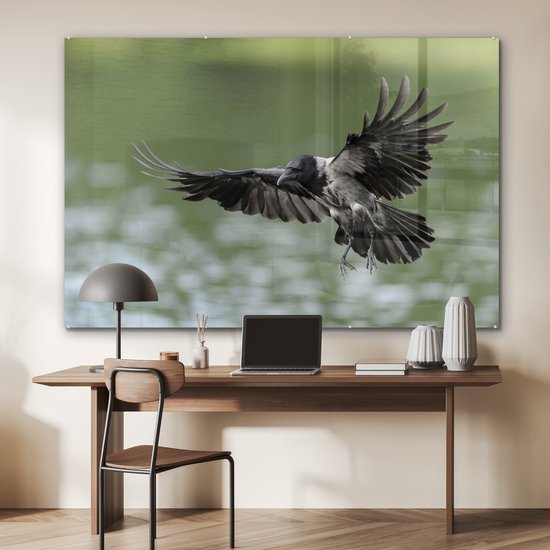 Ailes déployées du corbeau à capuchon Plexiglas 180x120 cm - Tirage photo sur Glas (décoration murale plexiglas) XXL / Groot format!