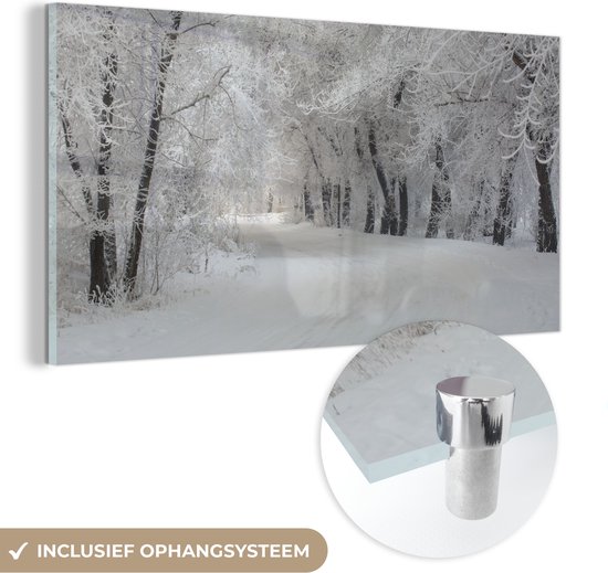 MuchoWow® Glasschilderij 40x20 cm - Schilderij acrylglas - Bomen - Sneeuw - Winter - Foto op glas - Schilderijen