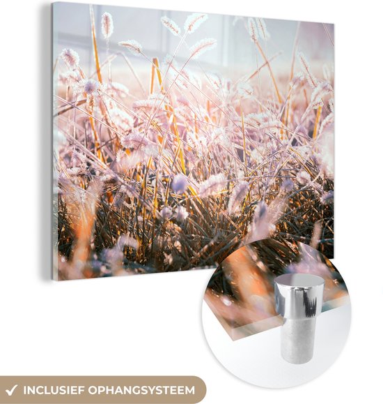 MuchoWow® Peinture sur verre 80x60 cm - Peinture sur verre acrylique - Herbe - Soleil - Hiver - Neige - Photo sur verre - Peintures