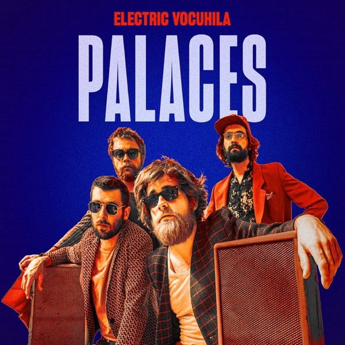 Electric Vocuhila - Palaces (LP)