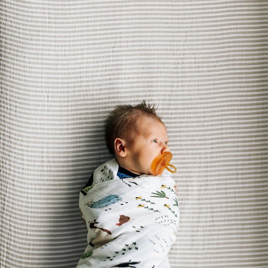 RR Organic Swaddle 2 Pack Family Farm Set