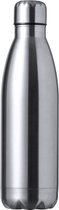 Drinkfles - Waterfles - Drinkbus - Volwassenen - 790 ml - RVS - zilver