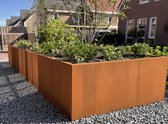 Garden of Steel - cortenstaal plantenbak - zonder bodem - 1000x1000x400 mm