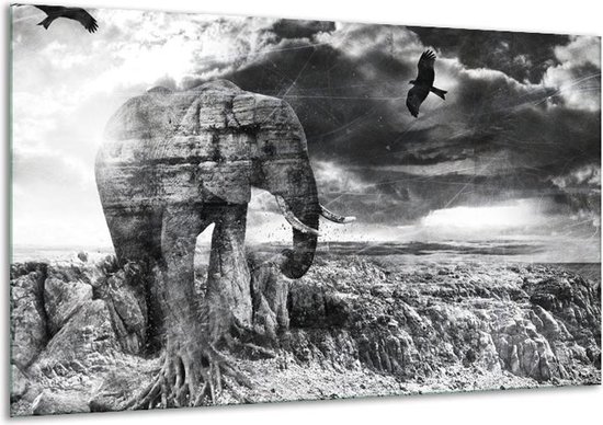 Peinture sur verre moderne, éléphant | Noir, blanc, gris | 120x70cm 1Hatch | Tirage photo sur verre |  F007506