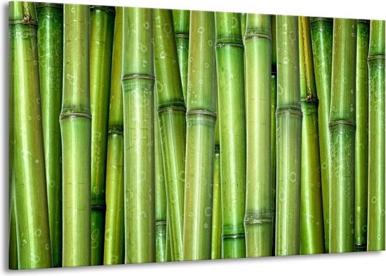 Schilderij Op Canvas - Groot -  Bamboe, Natuur - Groen - 140x90cm 1Luik - GroepArt 6000+ Schilderijen Woonkamer - Schilderijhaakjes Gratis